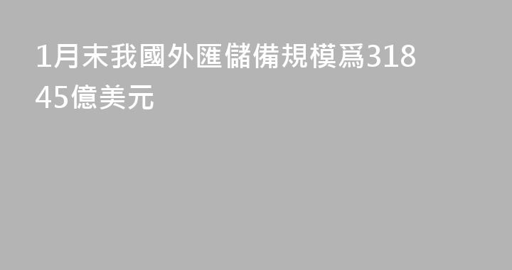 1月末我國外匯儲備規模爲31845億美元