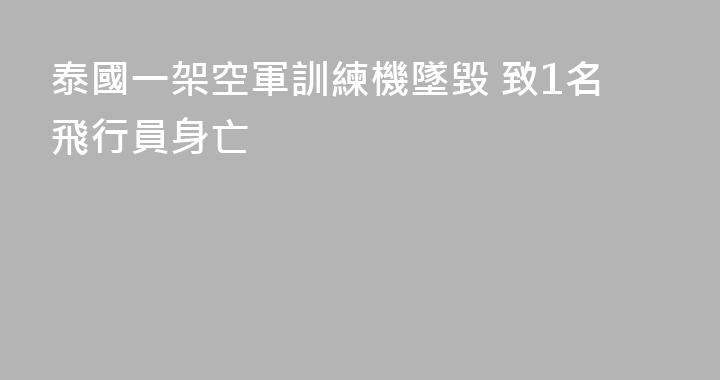 泰國一架空軍訓練機墜毀 致1名飛行員身亡