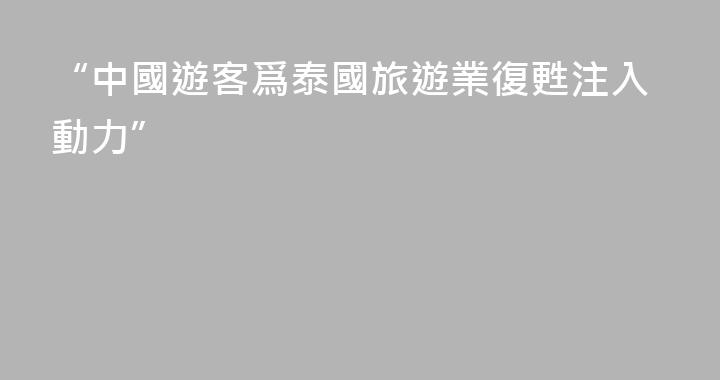 “中國遊客爲泰國旅遊業復甦注入動力”