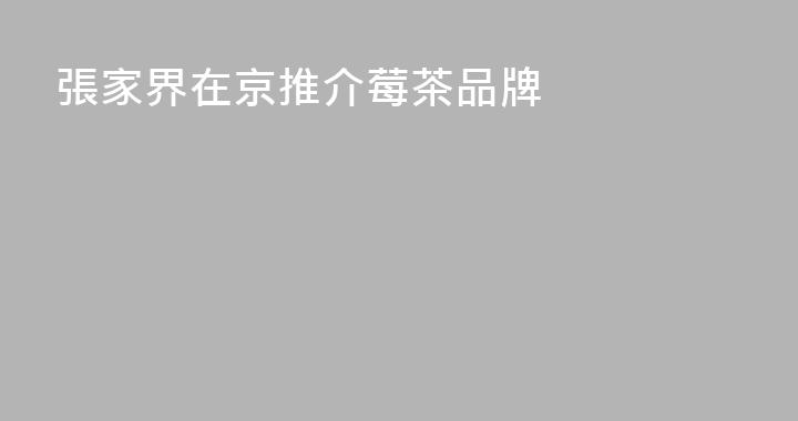 張家界在京推介莓茶品牌