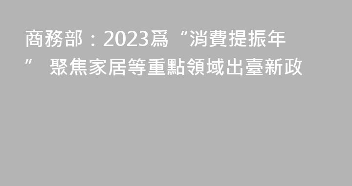 商務部：2023爲“消費提振年” 聚焦家居等重點領域出臺新政