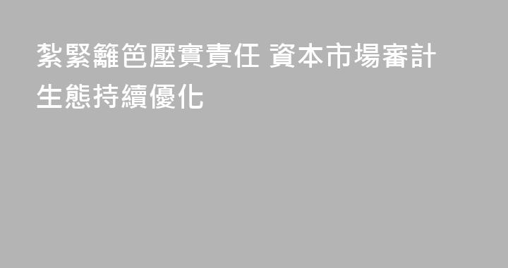 紮緊籬笆壓實責任 資本市場審計生態持續優化
