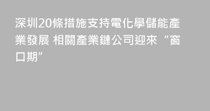 深圳20條措施支持電化學儲能產業發展 相關產業鏈公司迎來“窗口期”