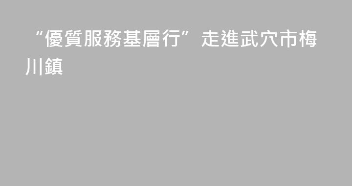 “優質服務基層行”走進武穴市梅川鎮
