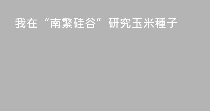 我在“南繁硅谷”研究玉米種子
