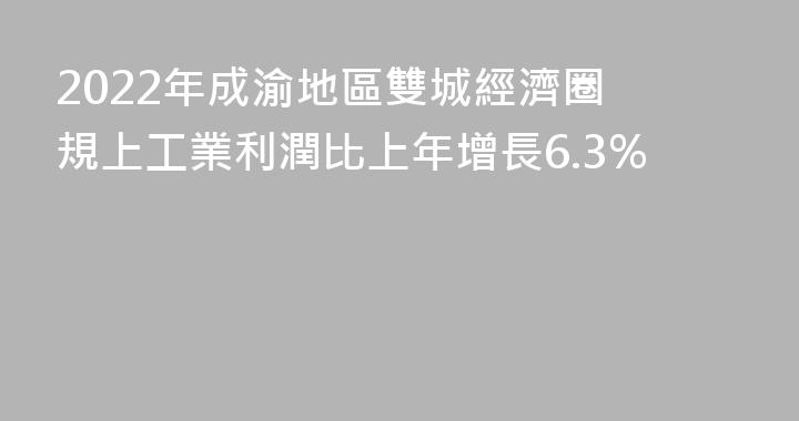 2022年成渝地區雙城經濟圈 規上工業利潤比上年增長6.3%