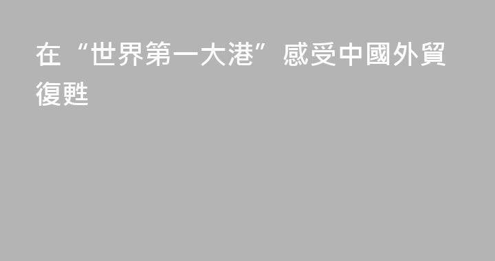 在“世界第一大港”感受中國外貿復甦