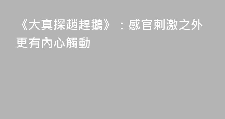 《大真探趙趕鵝》：感官刺激之外更有內心觸動