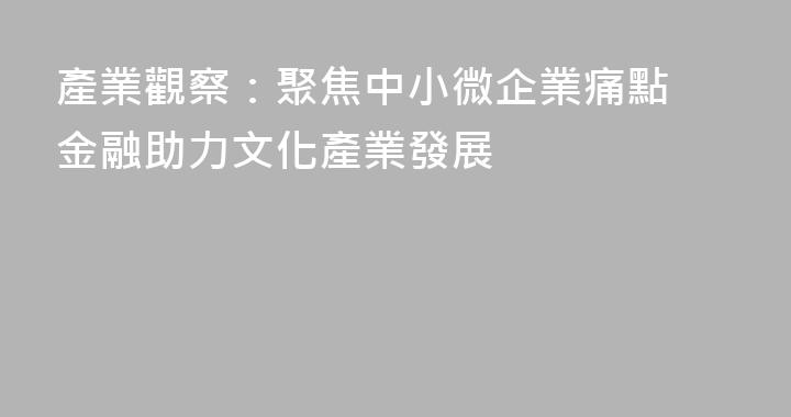 產業觀察：聚焦中小微企業痛點 金融助力文化產業發展