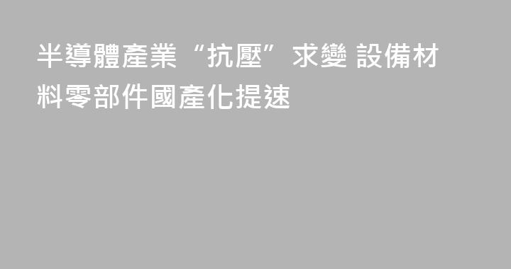 半導體產業“抗壓”求變 設備材料零部件國產化提速