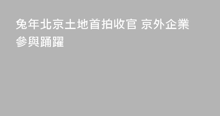 兔年北京土地首拍收官 京外企業參與踊躍