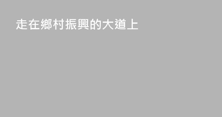 走在鄉村振興的大道上