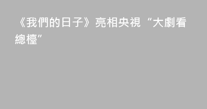 《我們的日子》亮相央視“大劇看總檯”