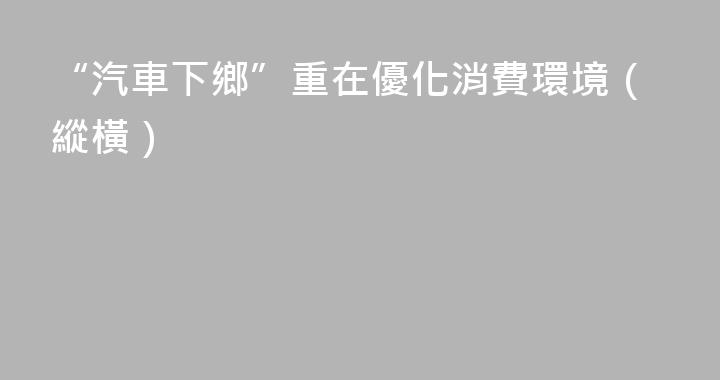 “汽車下鄉”重在優化消費環境（縱橫）