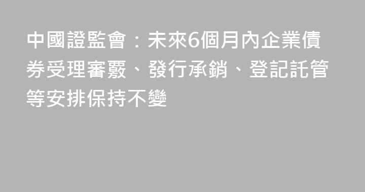 中國證監會：未來6個月內企業債券受理審覈、發行承銷、登記託管等安排保持不變
