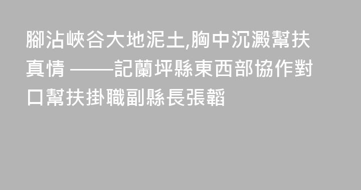 腳沾峽谷大地泥土,胸中沉澱幫扶真情 ——記蘭坪縣東西部協作對口幫扶掛職副縣長張韜