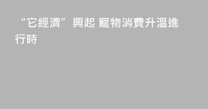 “它經濟”興起 寵物消費升溫進行時