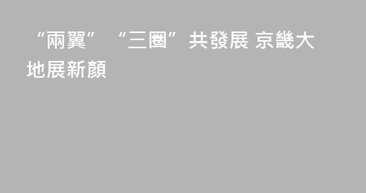 “兩翼”“三圈”共發展 京畿大地展新顏
