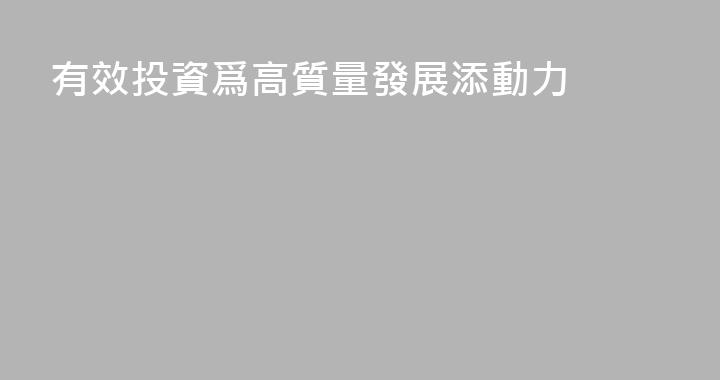 有效投資爲高質量發展添動力