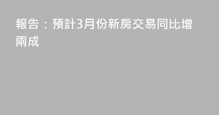 報告：預計3月份新房交易同比增兩成