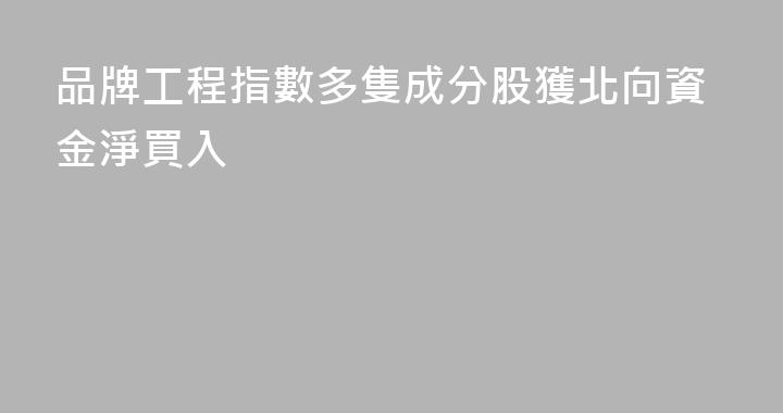 品牌工程指數多隻成分股獲北向資金淨買入