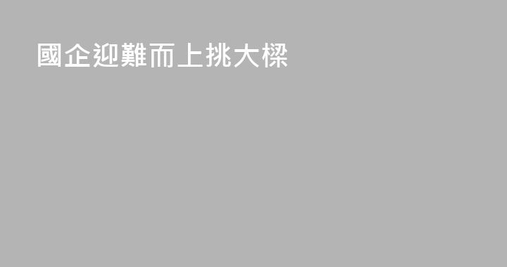 國企迎難而上挑大樑