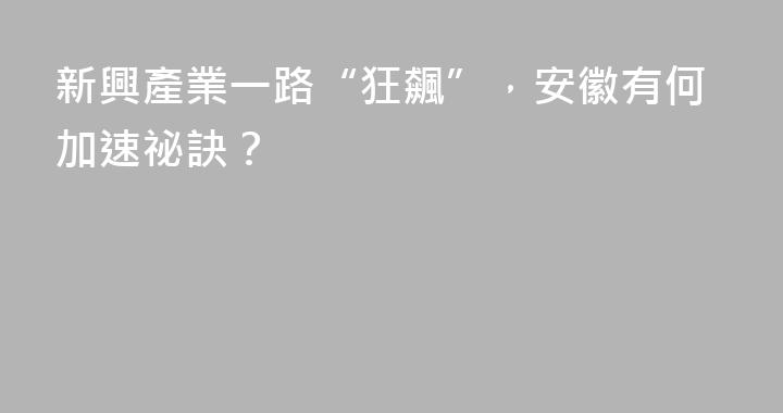 新興產業一路“狂飆”，安徽有何加速祕訣？