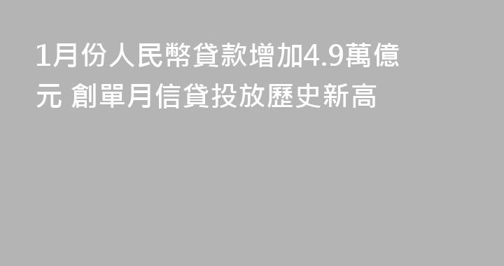 1月份人民幣貸款增加4.9萬億元 創單月信貸投放歷史新高