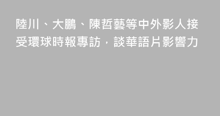 陸川、大鵬、陳哲藝等中外影人接受環球時報專訪，談華語片影響力