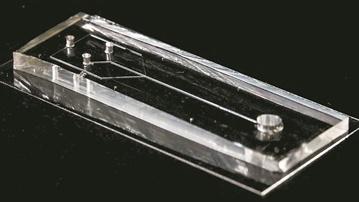 人造蜘蛛腺紡出“自然絲”