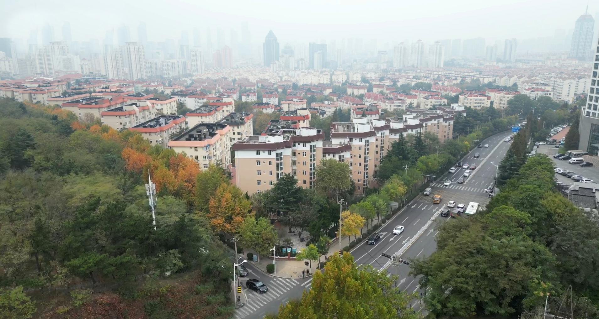 繪就高質量發展新圖景 青島市市南區用心用力推進城市更新