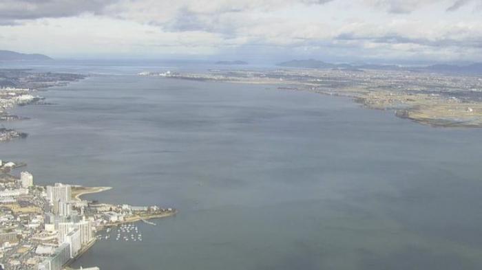 日本最大湖泊大批水鳥死亡：原因不明 專家呼籲不要接觸屍體