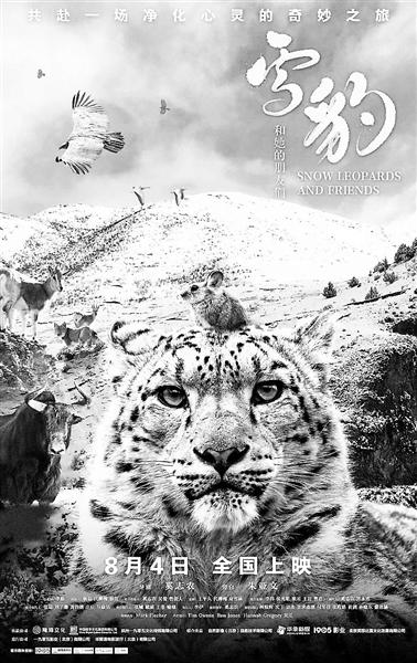 導演奚志農：雪豹“恩賜”的那些日子