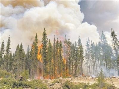 2024年地球還會再掀熱浪嗎？