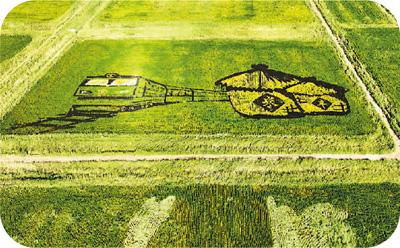 農旅融合引客來