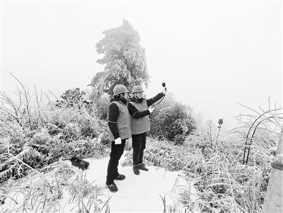 電網除冰“十八般武藝”齊亮相