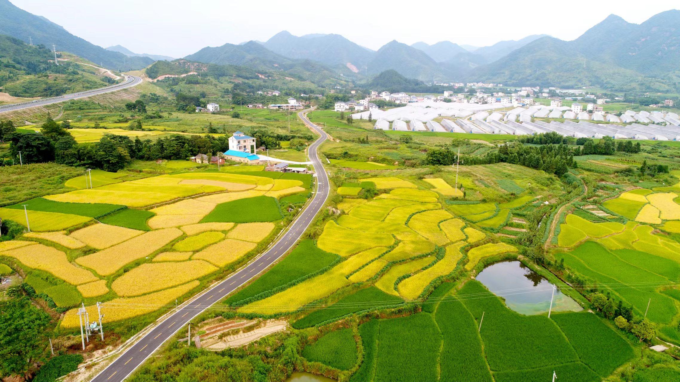 江西安遠：農村路網活力湧動，疏通鄉村振興“經脈”