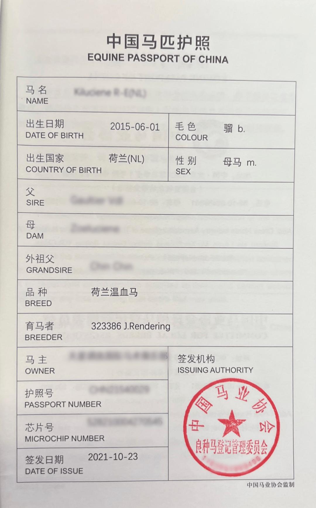 百餘匹賽馬從各地飛赴杭州參加亞運會，如何平安到達？
