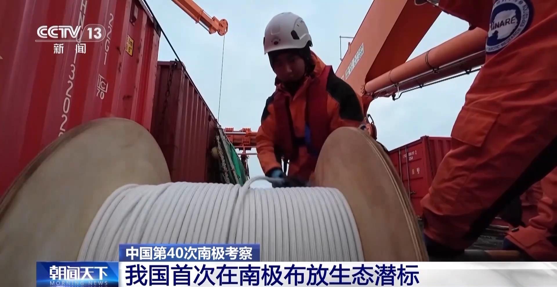 蛋白質含量遠超牛肉 小小的南極磷蝦潛力巨大？