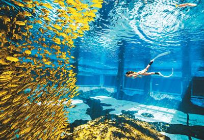 遊客追求“體驗感”“參與感”