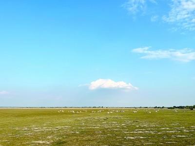 一座“資源之城”低碳發展的綠色答卷