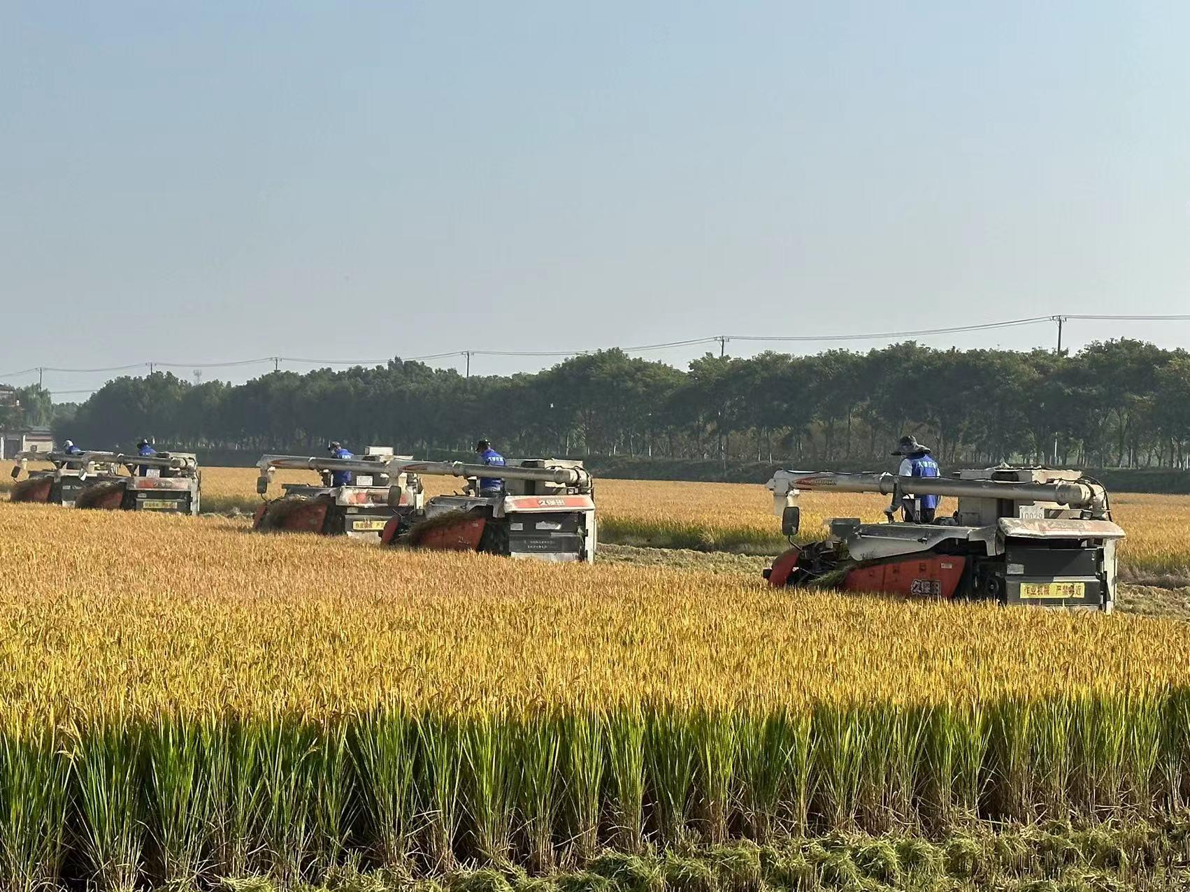 數據要素賦能鄉村特色產業高質量發展