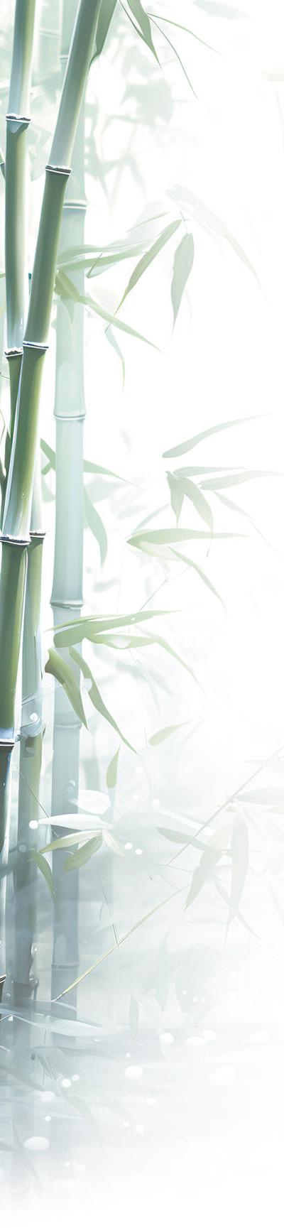 傳統竹產業有了綠色新路徑（美麗中國·“以竹代塑”在行動①）