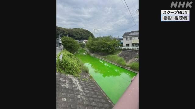 日本奈良生駒市河水變成熒光綠 市政府：對人體無害但勿接觸