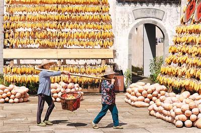 中國鄉村旅遊越來越紅火（專家解讀）