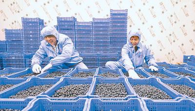 擴大市場供給 促進鄉村振興（新時代畫卷）