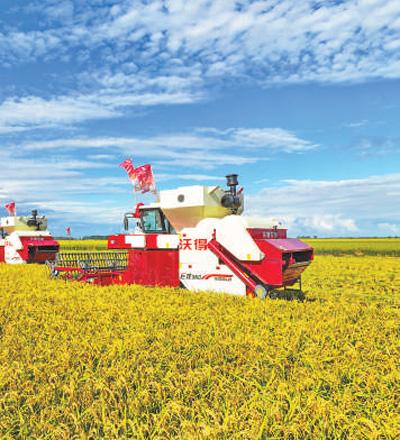 數說中國經濟——從穩與進看質與量（新數據 新看點·特別報道）