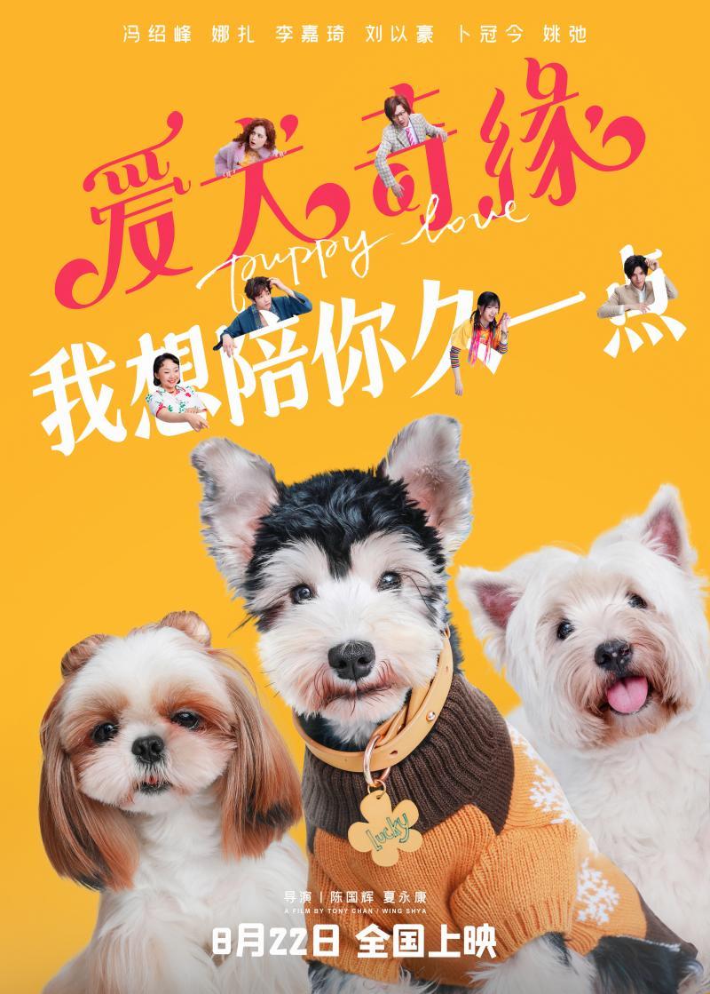 電影《愛犬奇緣》定檔七夕，展現狗狗與人類之間的動人情感