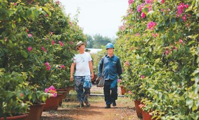 綠電，爲鄉村旅遊添彩