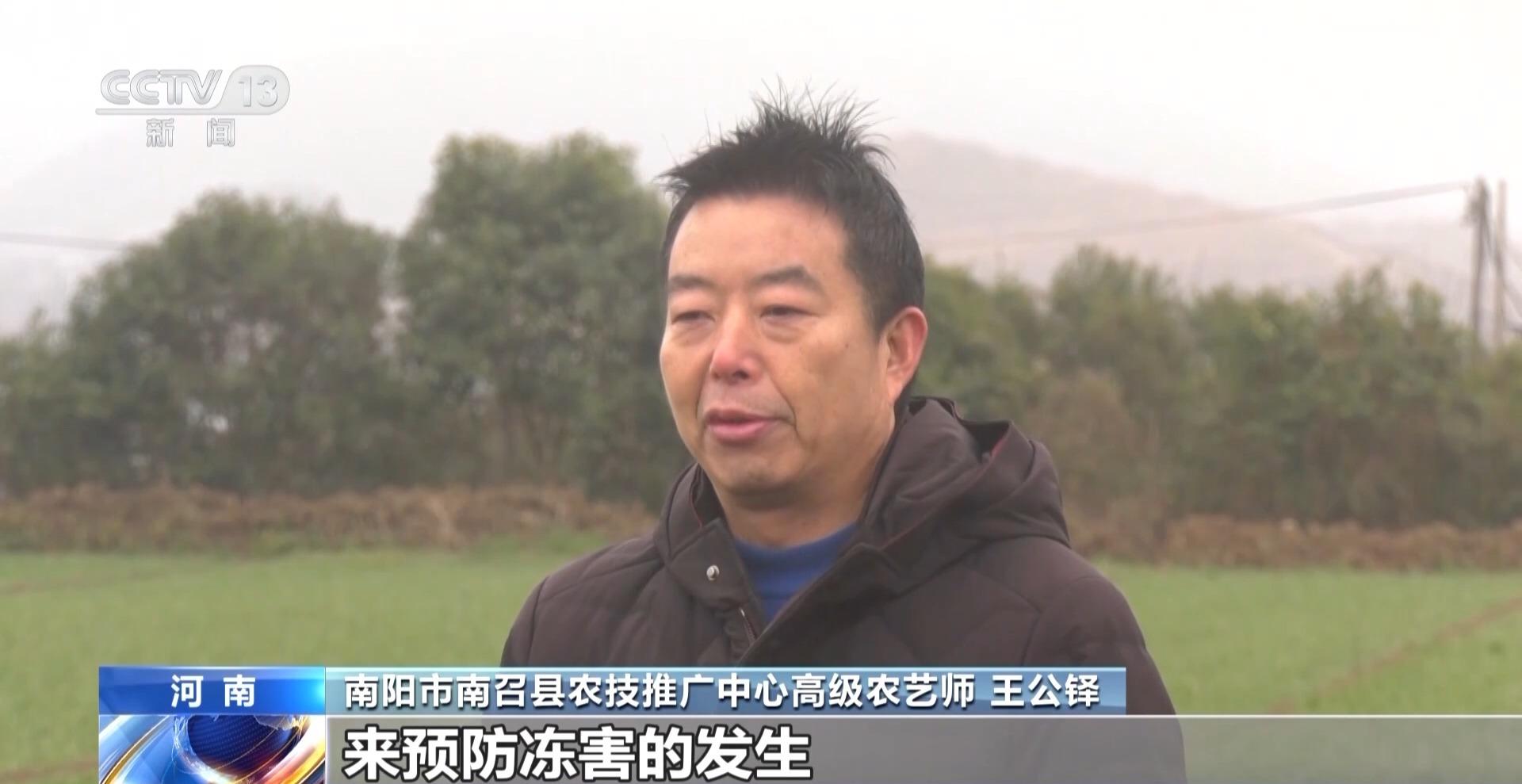降雪降溫後小麥如何安全越冬？農技人員到田間地頭支招